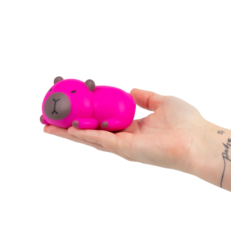 Stretchy Capybara Toy, Learning SPACE