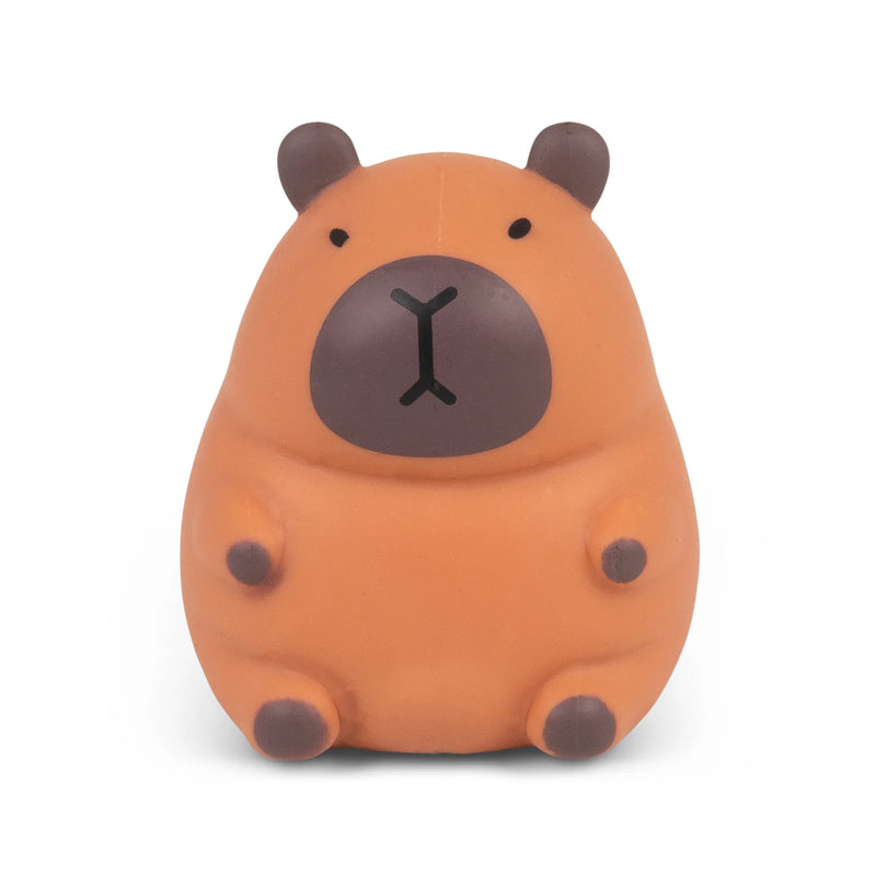 Stretchy Capybara Toy, Learning SPACE