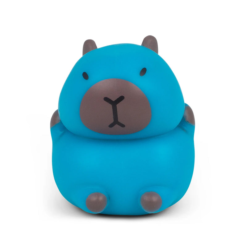 Stretchy Capybara Toy, Learning SPACE