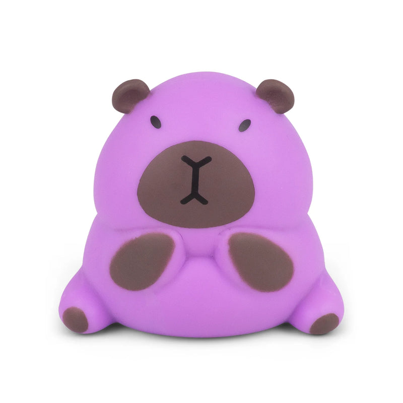 Stretchy Capybara Toy, Learning SPACE