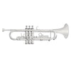 Student Trumpet - Silver, Musical Instruments Learning SPACE