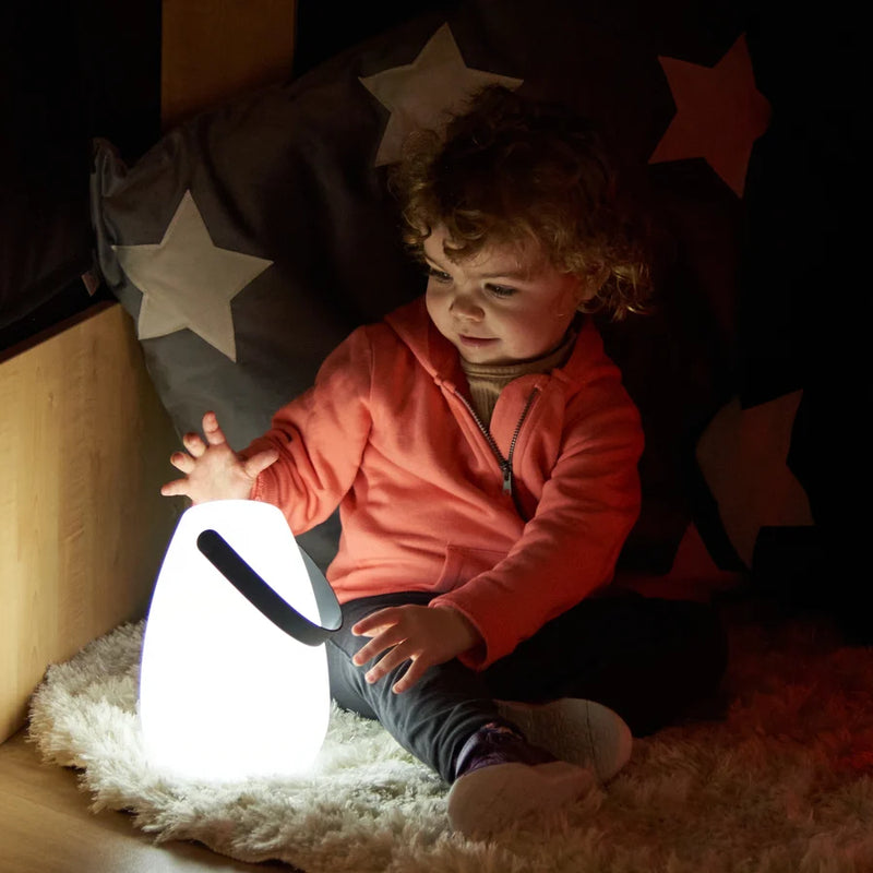 TTS Light up Lanterns, Learning SPACE