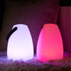 TTS Light up Lanterns, Learning SPACE