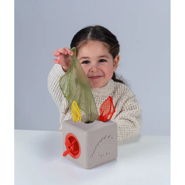 Taf Toys Pop-Up Tissue Box, Learning SPACE