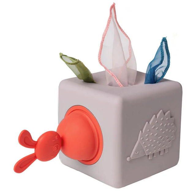 Taf Toys Pop-Up Tissue Box, Learning SPACE
