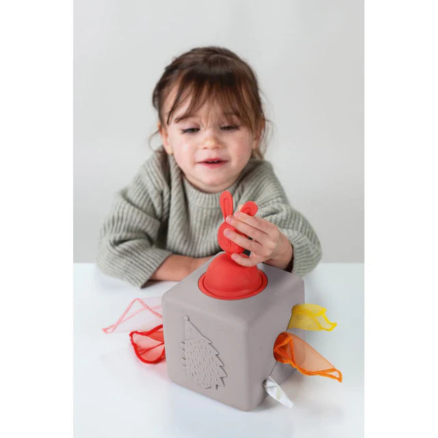 Taf Toys Pop-Up Tissue Box, Learning SPACE