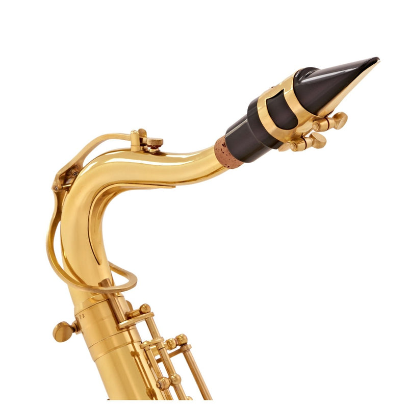 Tenor Saxophone, Musical Instruments Learning SPACE