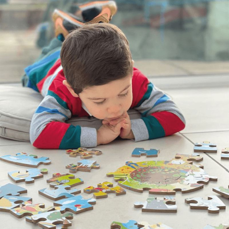 The Four Seasons Circular Floor Puzzle, Learning SPACE