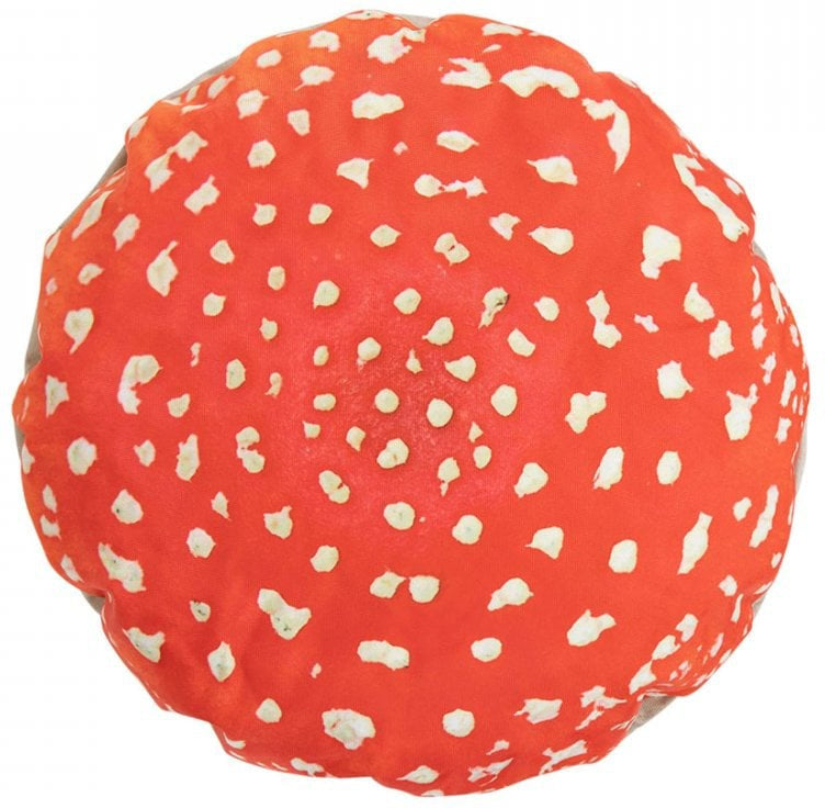 Toadstools Seats (4 Pack), Learning SPACE