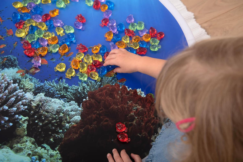 Translucent Colour Fish, Learning SPACE