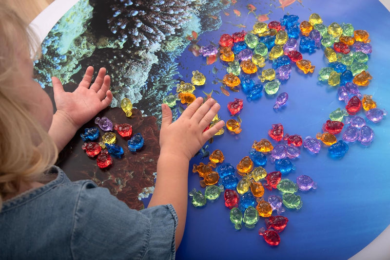 Translucent Colour Fish, Learning SPACE