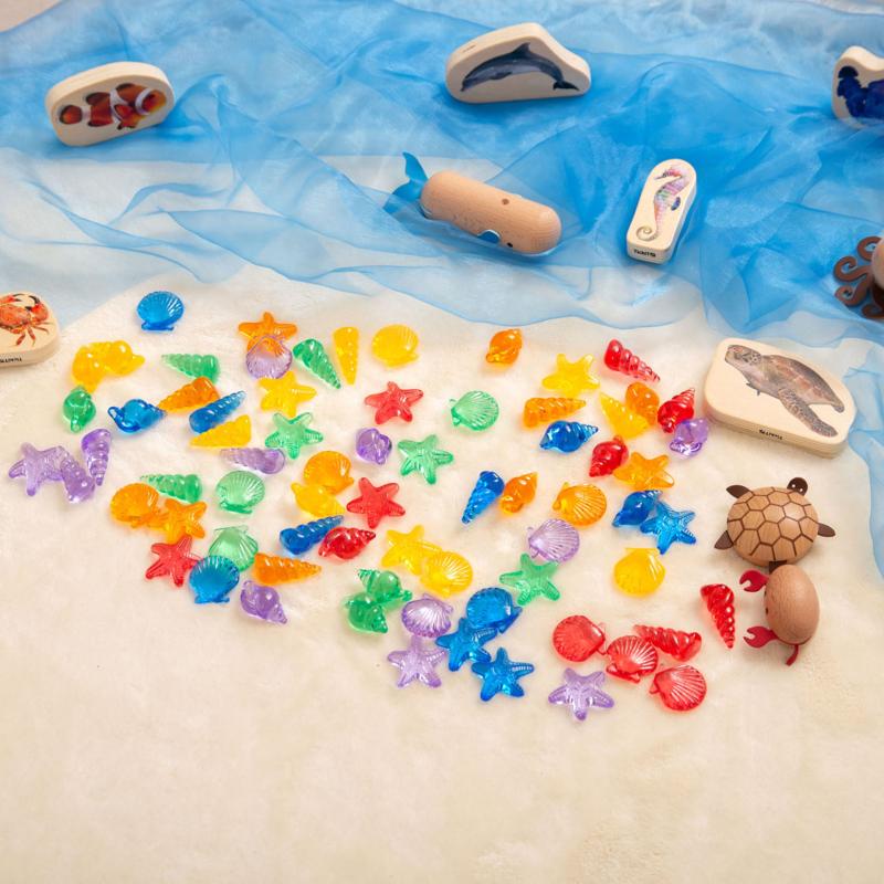 Translucent Colour Shells, Learning SPACE