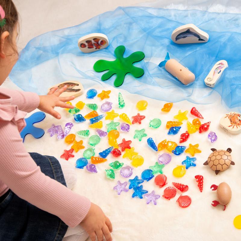 Translucent Colour Shells, Learning SPACE
