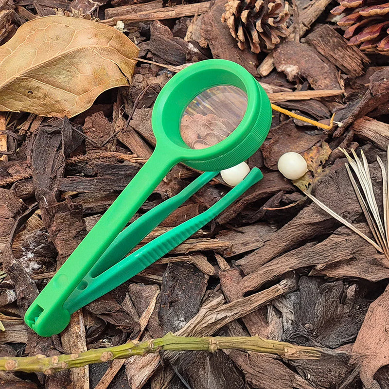 Tweezers with Magnifier - For Budding Explorers (Packs of 6 or 12), Learning SPACE