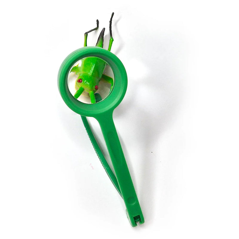 Tweezers with Magnifier - For Budding Explorers (Packs of 6 or 12), Learning SPACE