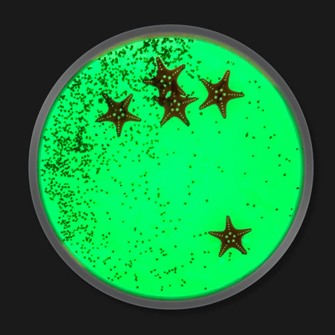 UV Round Aquarium Liquid Tiles, 4 Pack-Dropship,family fund bestsellers,SCOTEXCEL,Sensory Floor Tiles,UV Reactive,Visual Fun,Visual Sensory Toys-Learning SPACE