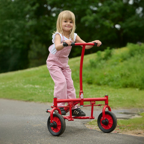 Viking Challenge Step Roller, Learning SPACE