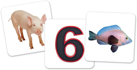 Vowel Owls™ Sorting Set-Early Years Literacy,Games & Toys,Learn Alphabet & Phonics,Learning Resources,Literacy,Literacy Toys-Learning SPACE