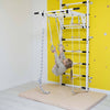 Wall Bars Trick Gymnastics Ladder, Exercise Learning SPACE