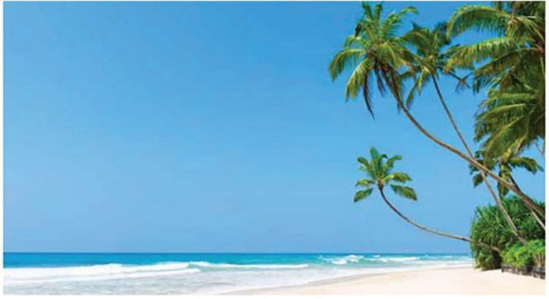 Wall Hanging Beach Backdrop, Learning SPACE