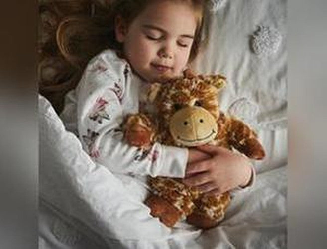 Warmies® Giraffe | Heatable Sensory Toy for Comfort, Stuffed Toys Learning SPACE