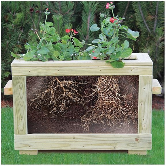 Watch Me Grow Planter, Learning SPACE