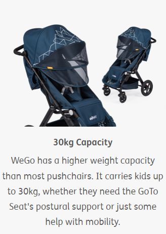 WeGo Pushchair for Kids with Special Needs-Additional Need, Additional Support, Firefly, Physical Needs, Specialised Prams Walkers & Seating, Stock, Toddler Seating-Learning SPACE