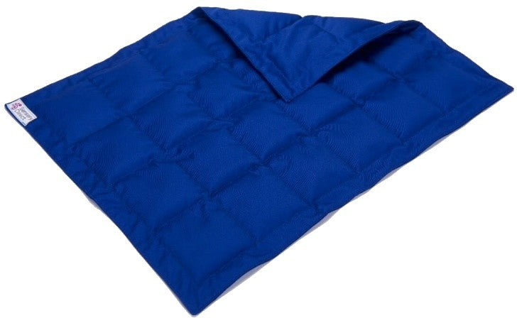 Weighted Lap Pad (Blue) 1kg & 2kg, Learning SPACE