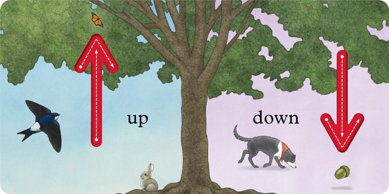 We're Going on a Bear Hunt: My First Opposites Board Book, Learning SPACE