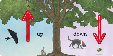 We're Going on a Bear Hunt: My First Opposites Board Book, Learning SPACE