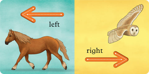 We're Going on a Bear Hunt: My First Opposites Board Book, Learning SPACE