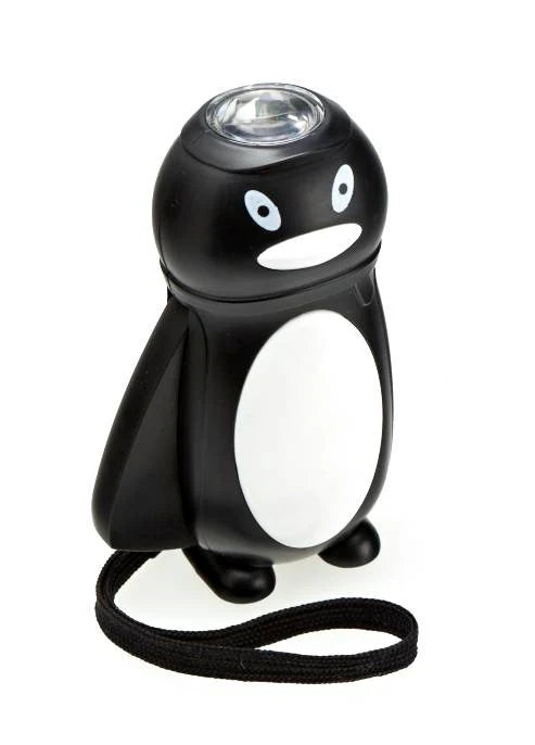 Wind Up Dynamo Torch (No batteries), Learning SPACE