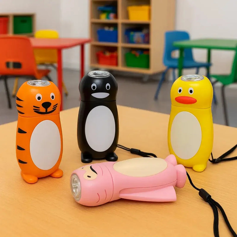 Wind Up Dynamo Torch (No batteries), Learning SPACE