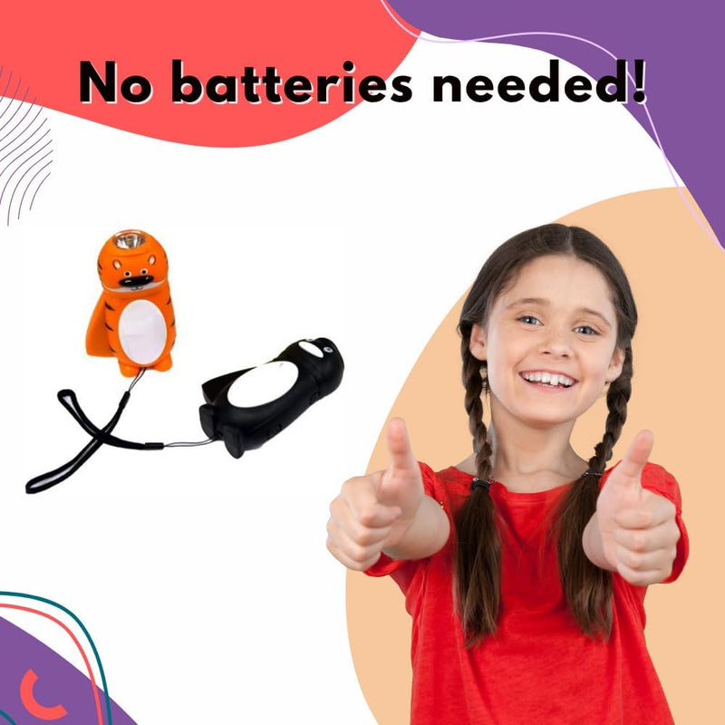 Wind Up Dynamo Torch (No batteries), Learning SPACE