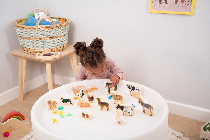 Wooden Domestic Animal Blocks - Pack Of 15, Learning SPACE
