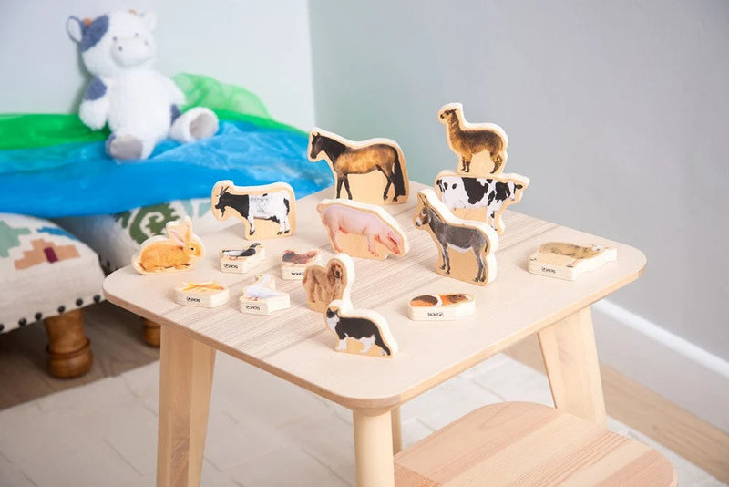 Wooden Domestic Animal Blocks - Pack Of 15, Learning SPACE
