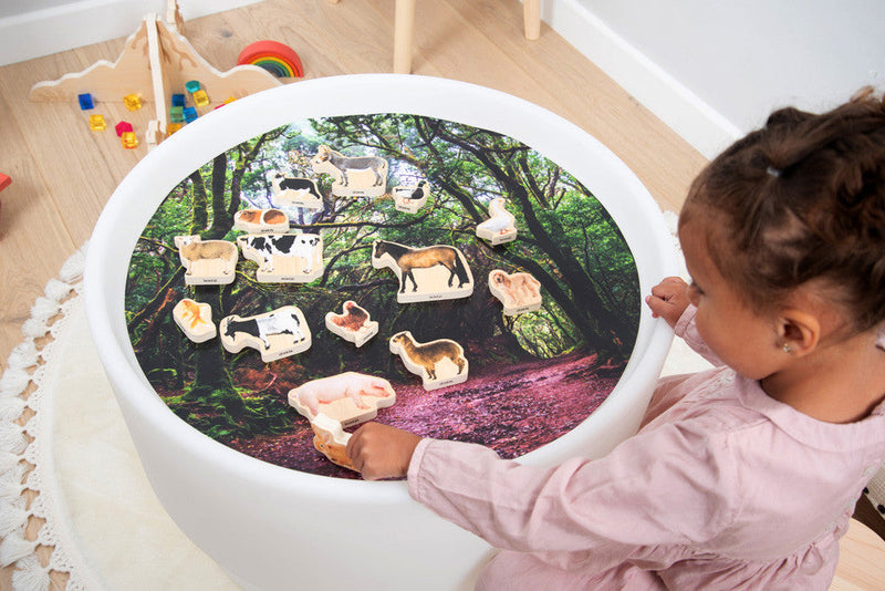 Wooden Domestic Animal Blocks - Pack Of 15, Learning SPACE