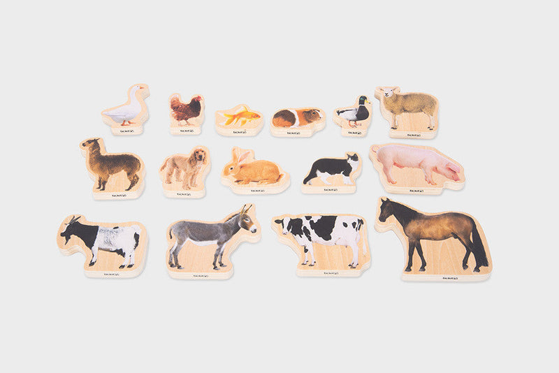 Wooden Domestic Animal Blocks - Pack Of 15, Learning SPACE