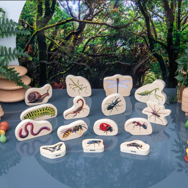 Wooden Minibeast Blocks, Learning SPACE