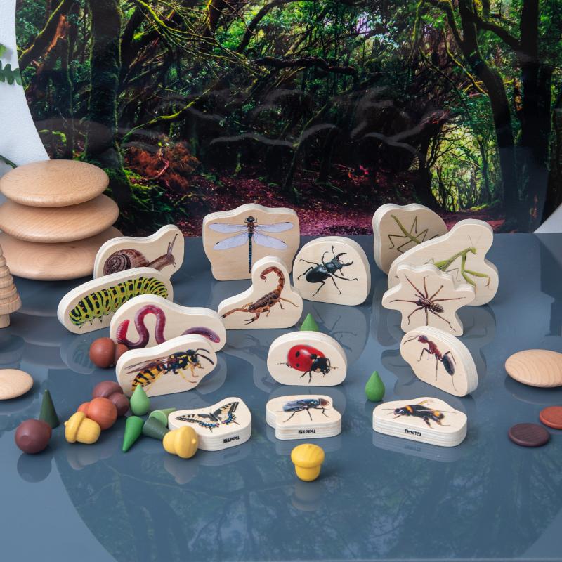 Wooden Minibeast Blocks, Learning SPACE