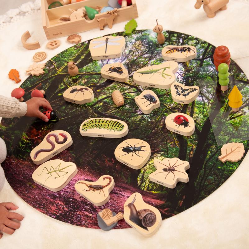Wooden Minibeast Blocks, Learning SPACE