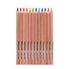 World of Colour Jumbo Triangle Easy Grip Colour Pencils 12 Pack, Learning SPACE