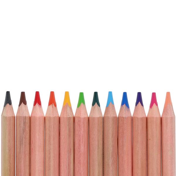 World of Colour Jumbo Triangle Easy Grip Colour Pencils 12 Pack, Learning SPACE