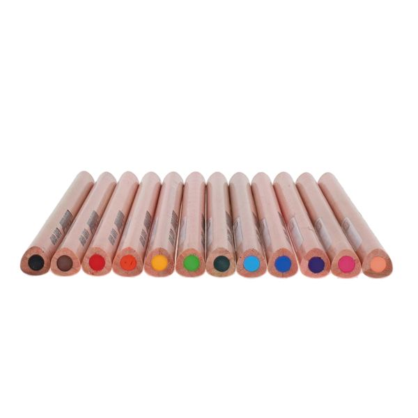 World of Colour Jumbo Triangle Easy Grip Colour Pencils 12 Pack, Learning SPACE