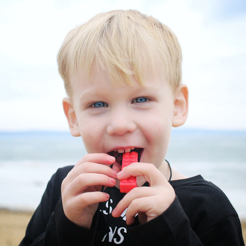 ARK Chewy Brick Stick® Necklace, Chew Aids Learning SPACE