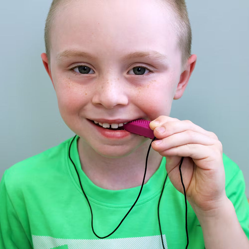 ARK Chewy Brick Stick® Necklace, Chew Aids Learning SPACE