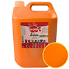 Scola Artmix Paint 5 Litre, Orange Learning SPACE