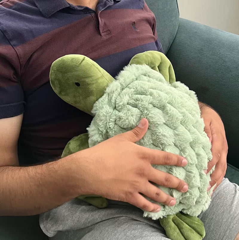MySpace 1.6kg Weighted Turtle, Learning SPACE