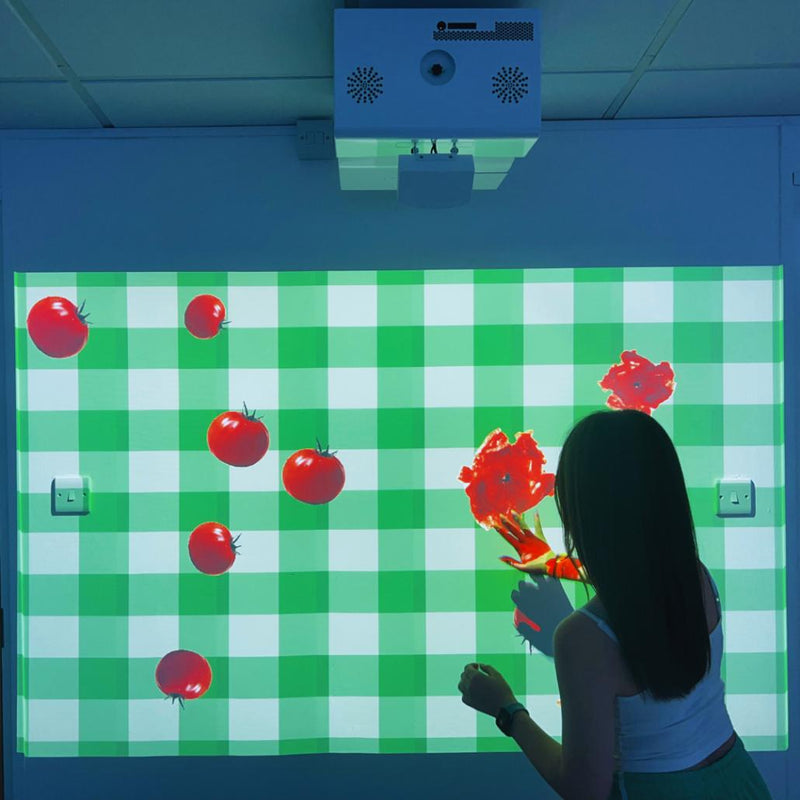 omiReflex: Motion Interactive Wall Mirror Image Projection System, Learning SPACE