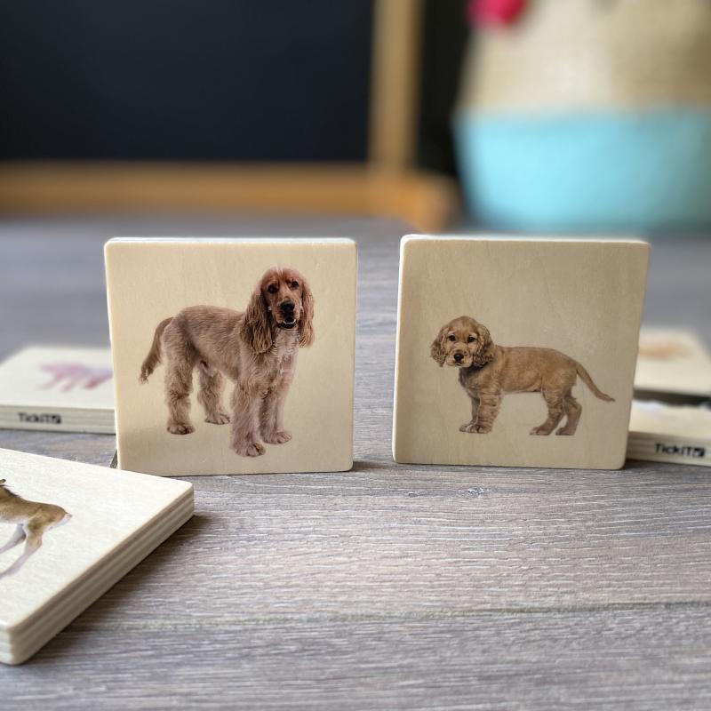Domestic Animal Family Match - Pk28, Learning SPACE